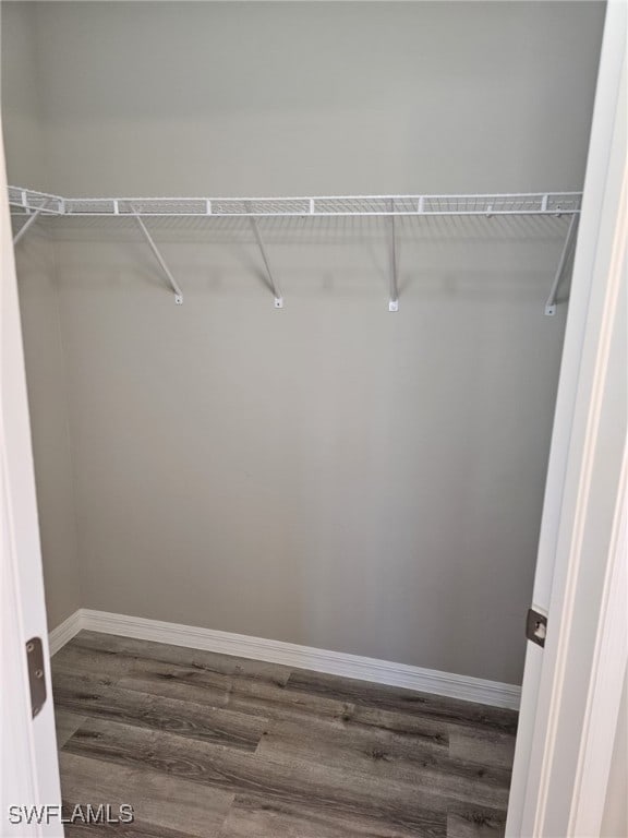 spacious closet featuring wood-type flooring