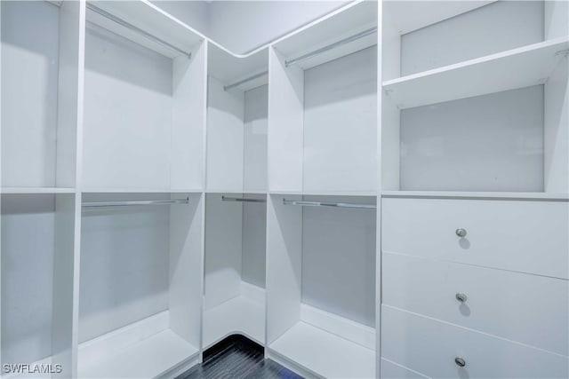 20730 Groveline Ct, Estero, FL 33928 - view of walk in closet