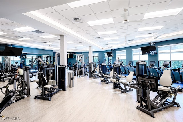 gym featuring a paneled ceiling, ceiling fan, and light hardwood / wood-style floors