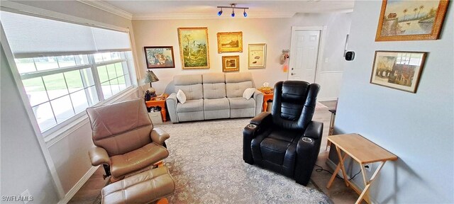 living area featuring ornamental molding