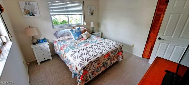 bedroom featuring carpet