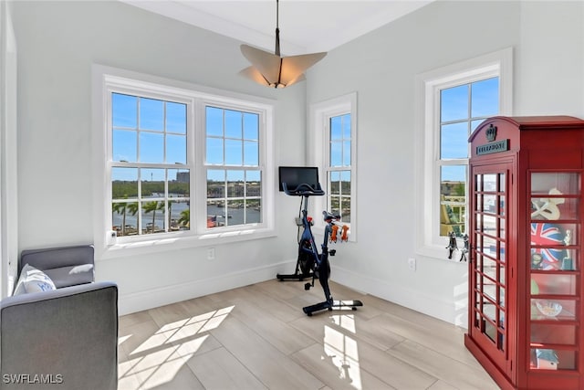 workout room with a wealth of natural light and light wood-type flooring