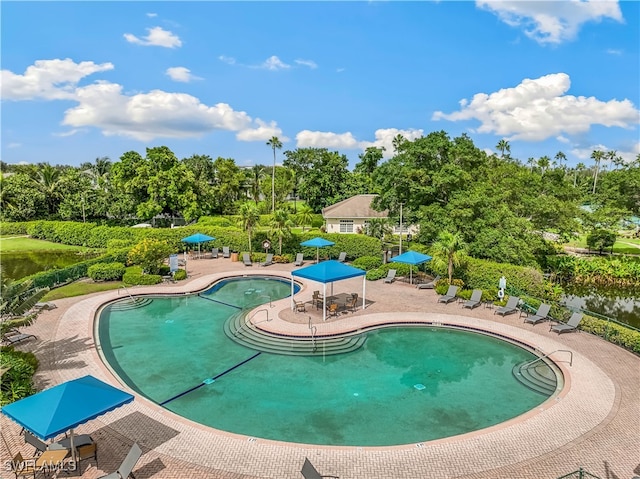 view of swimming pool featuring a patio and a gazebo