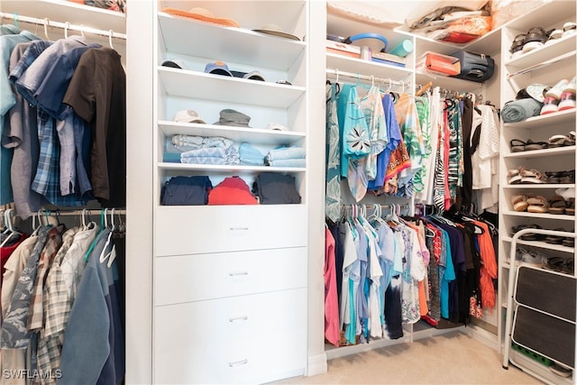 spacious closet featuring light colored carpet