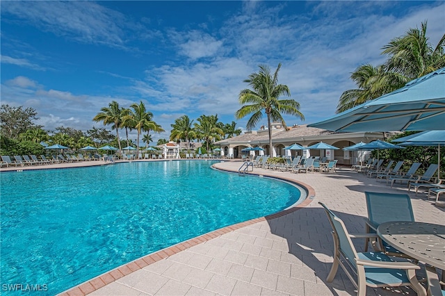 view of pool featuring a patio area