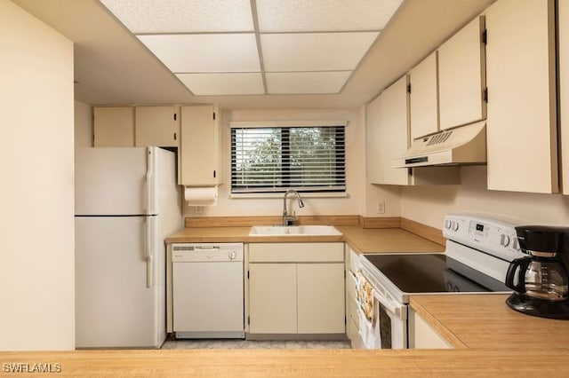 kitchen featuring a drop ceiling, sink, white appliances, and light hardwood / wood-style flooring