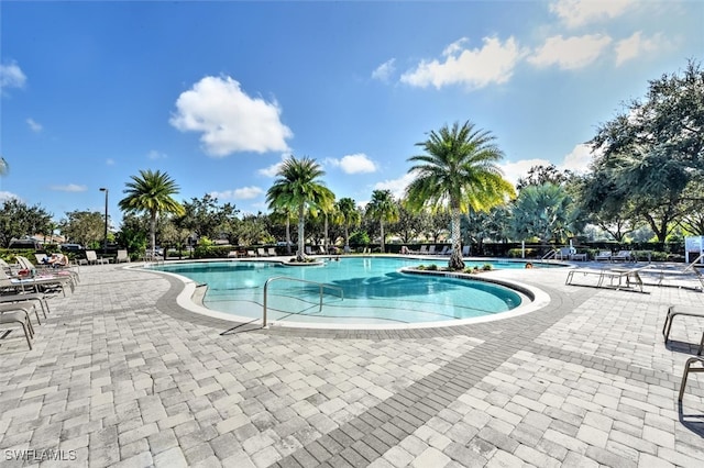 view of pool featuring a patio area