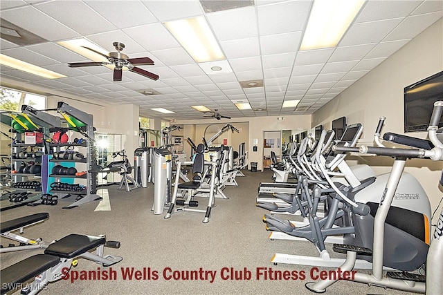 workout area with a drop ceiling and ceiling fan