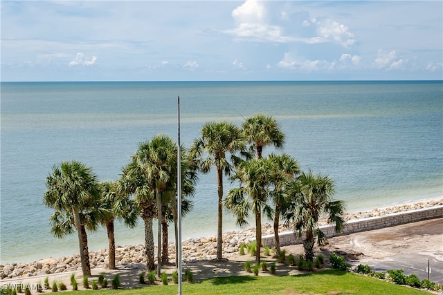 water view with a view of the beach