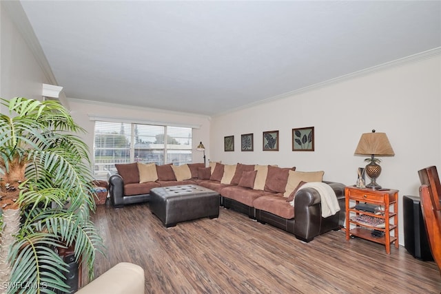 living room featuring ornamental molding and hardwood / wood-style floors