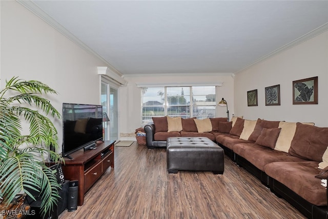 living room with ornamental molding and dark wood-type flooring