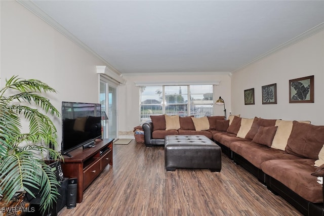 living room featuring wood finished floors and ornamental molding