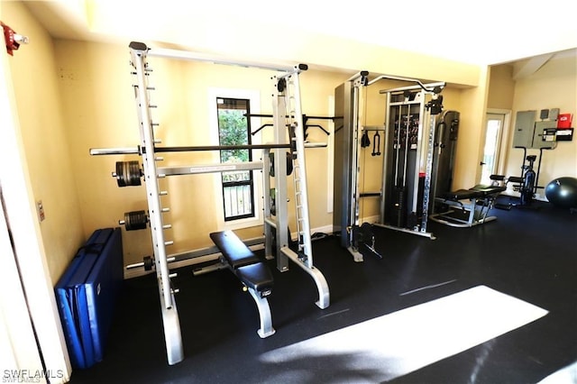 15621 Red Fox Run, Fort Myers, FL 33912 - view of workout area
