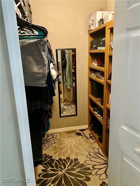 spacious closet with carpet floors