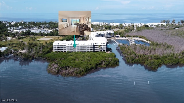 drone / aerial view with a water view