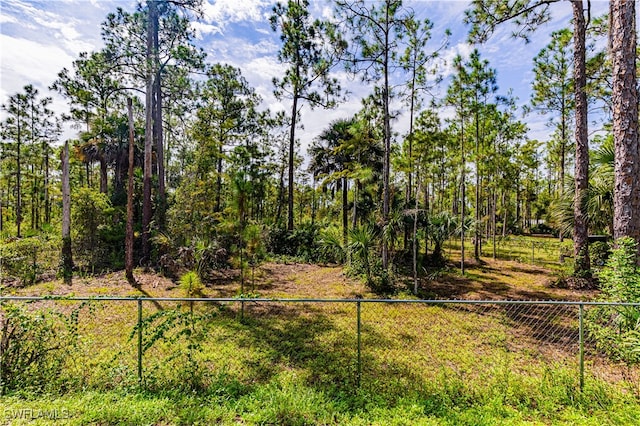 view of local wilderness