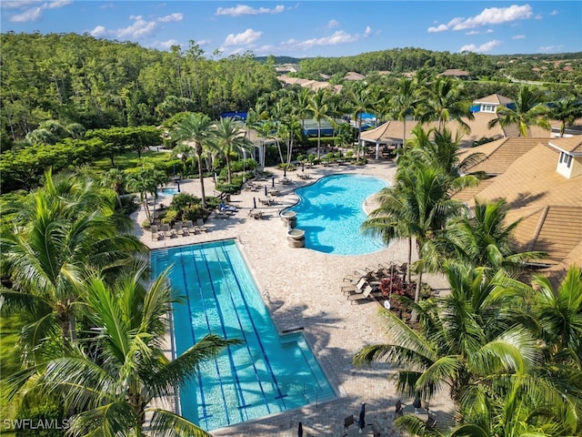 view of pool featuring a patio area