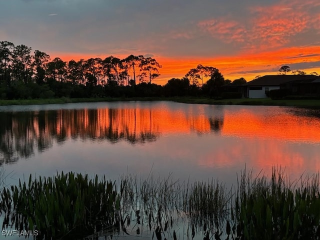 property view of water