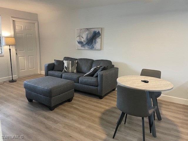 living room featuring hardwood / wood-style floors