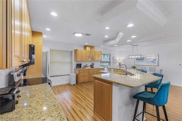 kitchen featuring appliances with stainless steel finishes, a kitchen bar, hanging light fixtures, light stone counters, and light hardwood / wood-style flooring