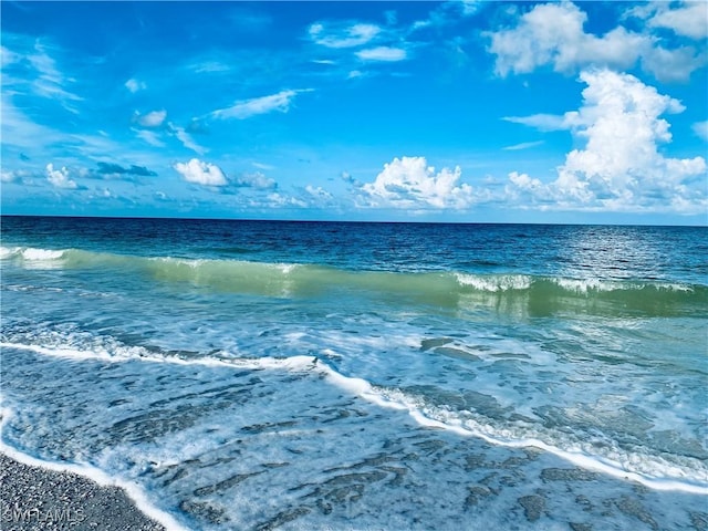 view of water feature featuring a beach view