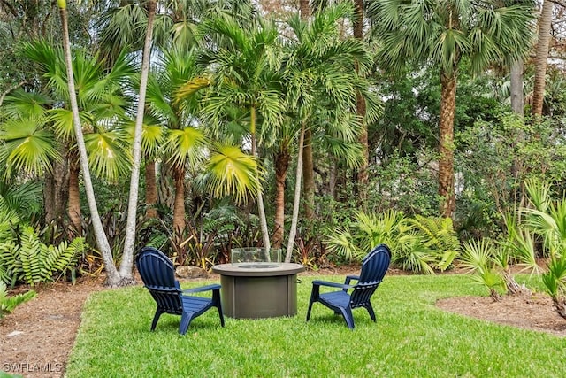 view of yard with a fire pit