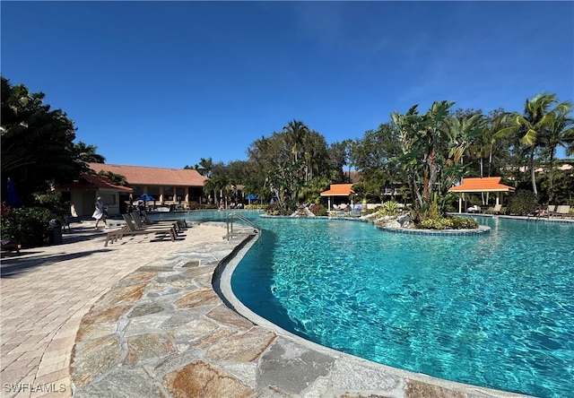 view of swimming pool featuring a patio