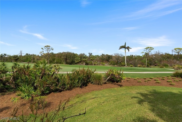 view of community featuring a yard