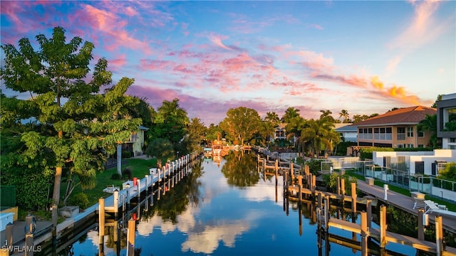 dock area with a water view