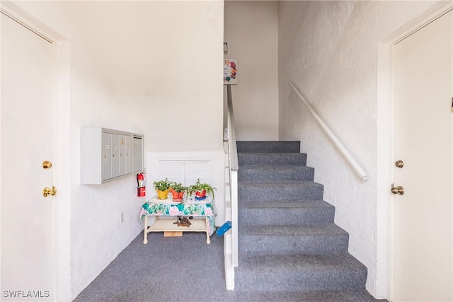 staircase with carpet flooring