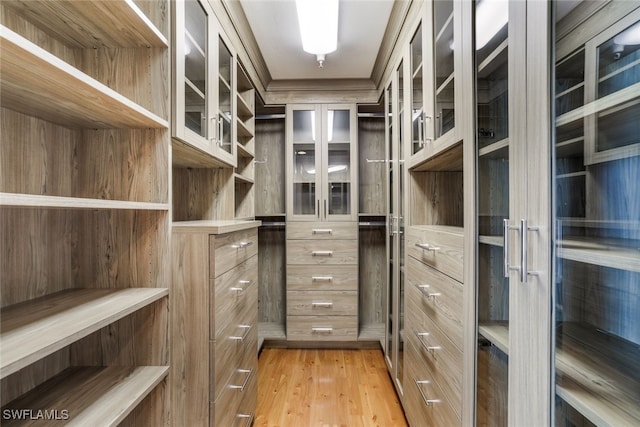 walk in closet featuring light wood-style floors