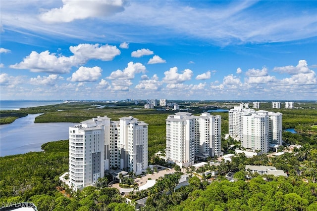 295 Grande Way Unit 1004, Naples, FL 34110 - aerial view of a nearby body of water