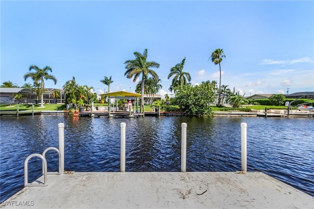 dock area with a water view