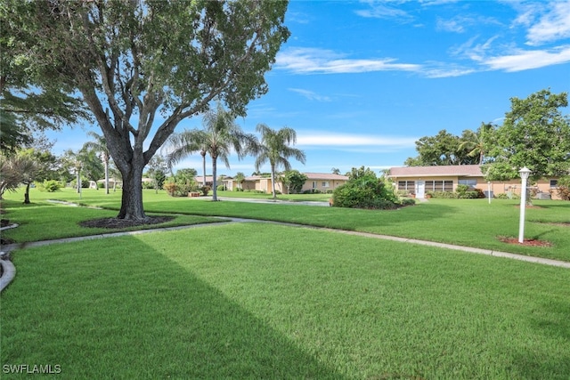 view of community with a yard