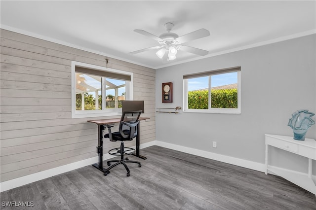 office with ceiling fan, wooden walls, crown molding, and dark hardwood / wood-style flooring