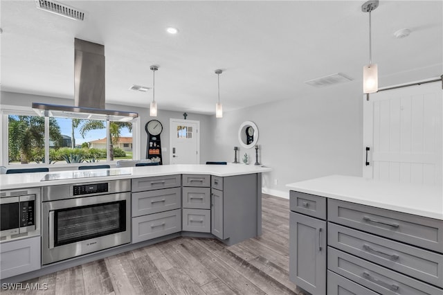 kitchen with pendant lighting, gray cabinetry, wood-type flooring, island range hood, and stainless steel appliances