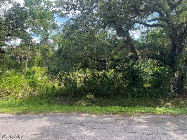 2131 Owanita Rd, Alva FL, 33920 land for sale