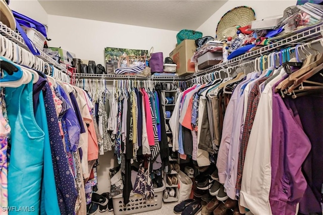 spacious closet featuring carpet flooring