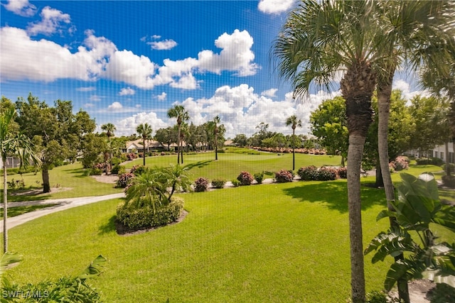 view of home's community with a lawn