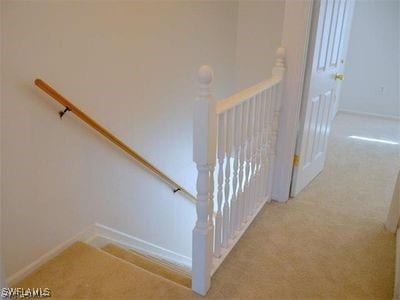 stairway with carpet flooring