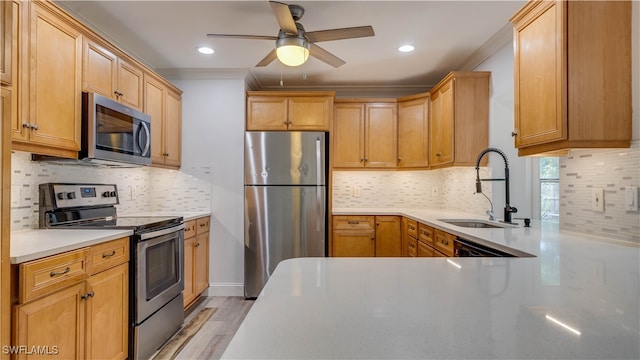 kitchen featuring ceiling fan, sink, ornamental molding, tasteful backsplash, and stainless steel appliances