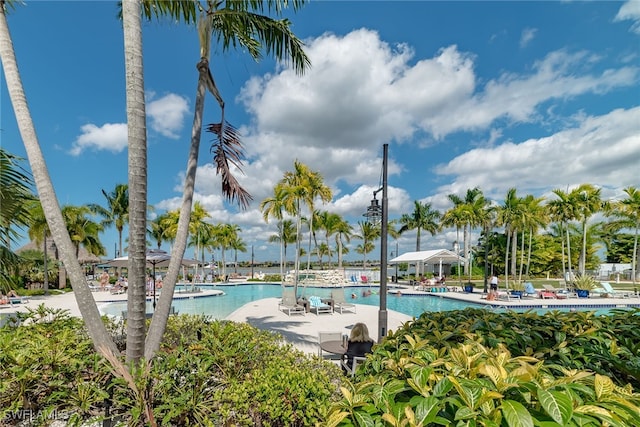 view of swimming pool featuring a patio