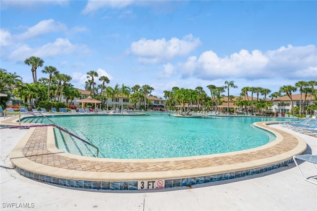 view of swimming pool featuring a patio area