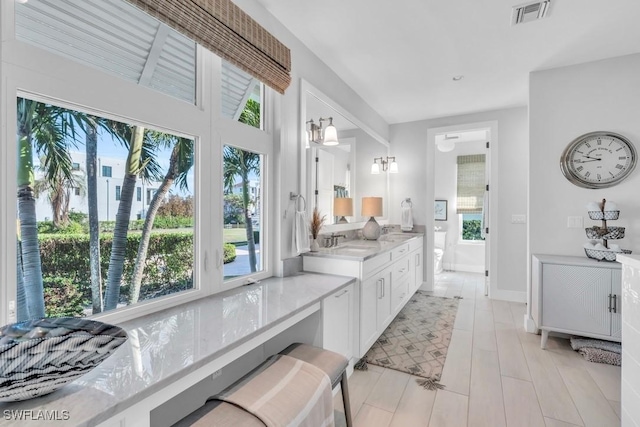 bathroom with vanity and plenty of natural light