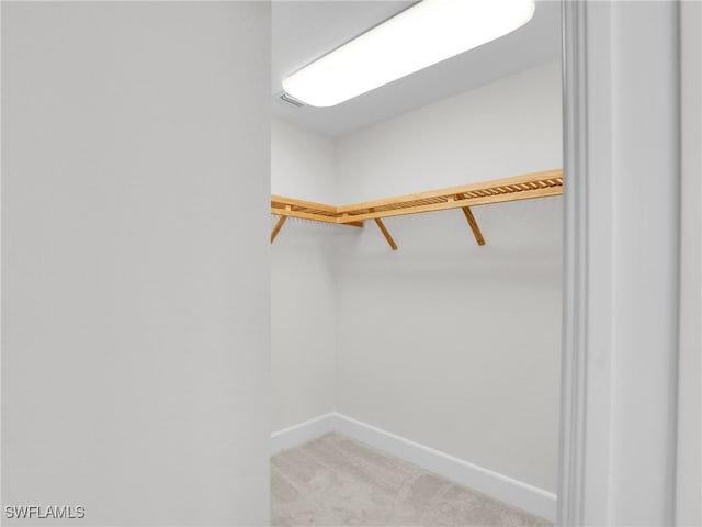 walk in closet with light carpet