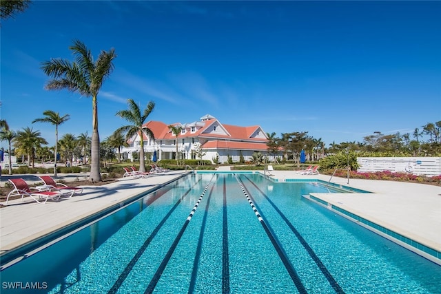 view of swimming pool featuring a patio area