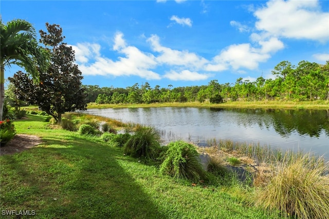 property view of water