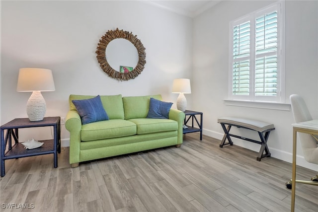 living room with light wood-type flooring