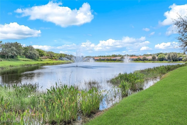 property view of water