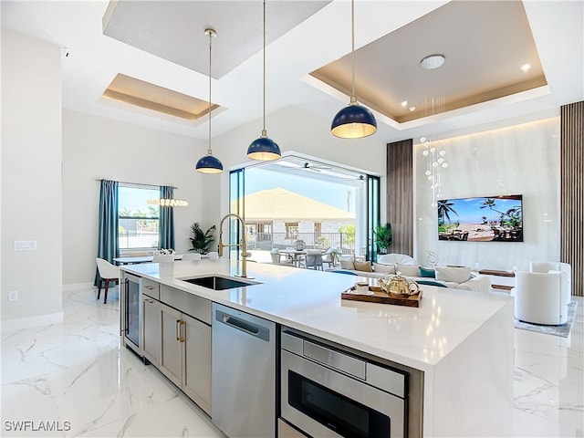 kitchen featuring a wealth of natural light, a tray ceiling, and appliances with stainless steel finishes